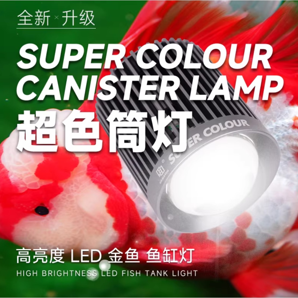 Mayin Super Colour Aquarium 10 – Aquarium Fish Colour recenzja i cena