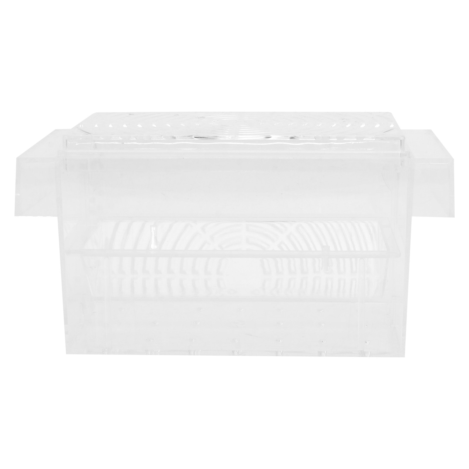 1 szt. Izolator do akwarium, p – Aquarium Fish Breeding recenzja i cena