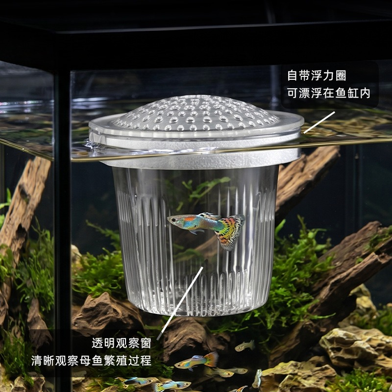 Kubek do hodowli małych gupikó – Aquarium Fish Delivery recenzja i cena