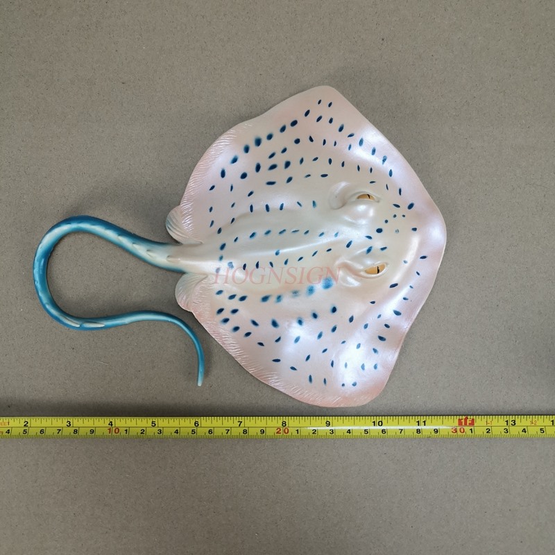 Zabawka model zwierzęcia akwar – Aquarium Fish Market recenzja i cena