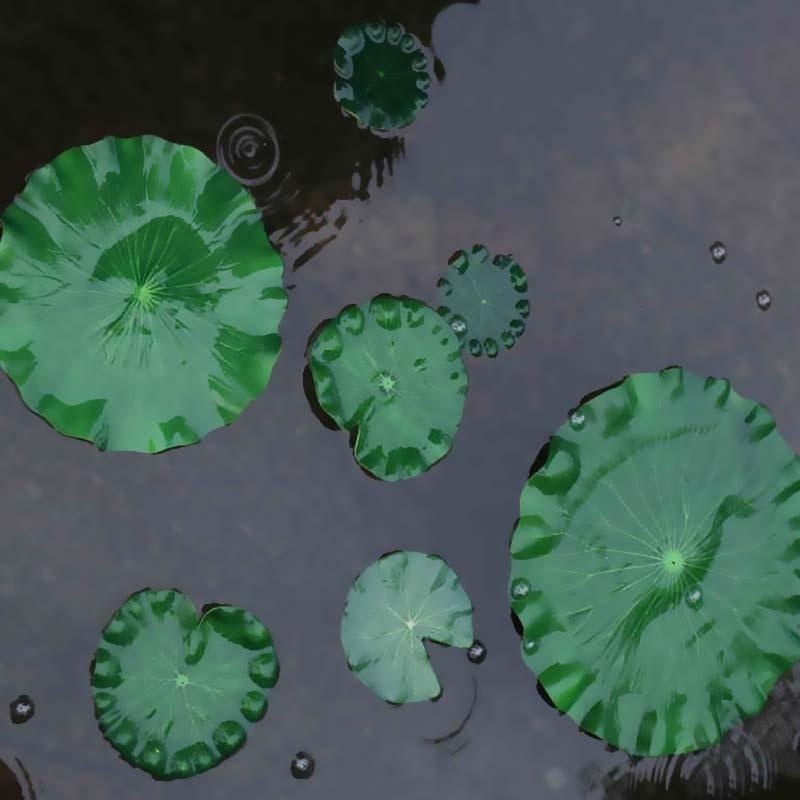 Sztuczne liście lotosu bez kwi – Aquarium Fish In Pond recenzja i cena