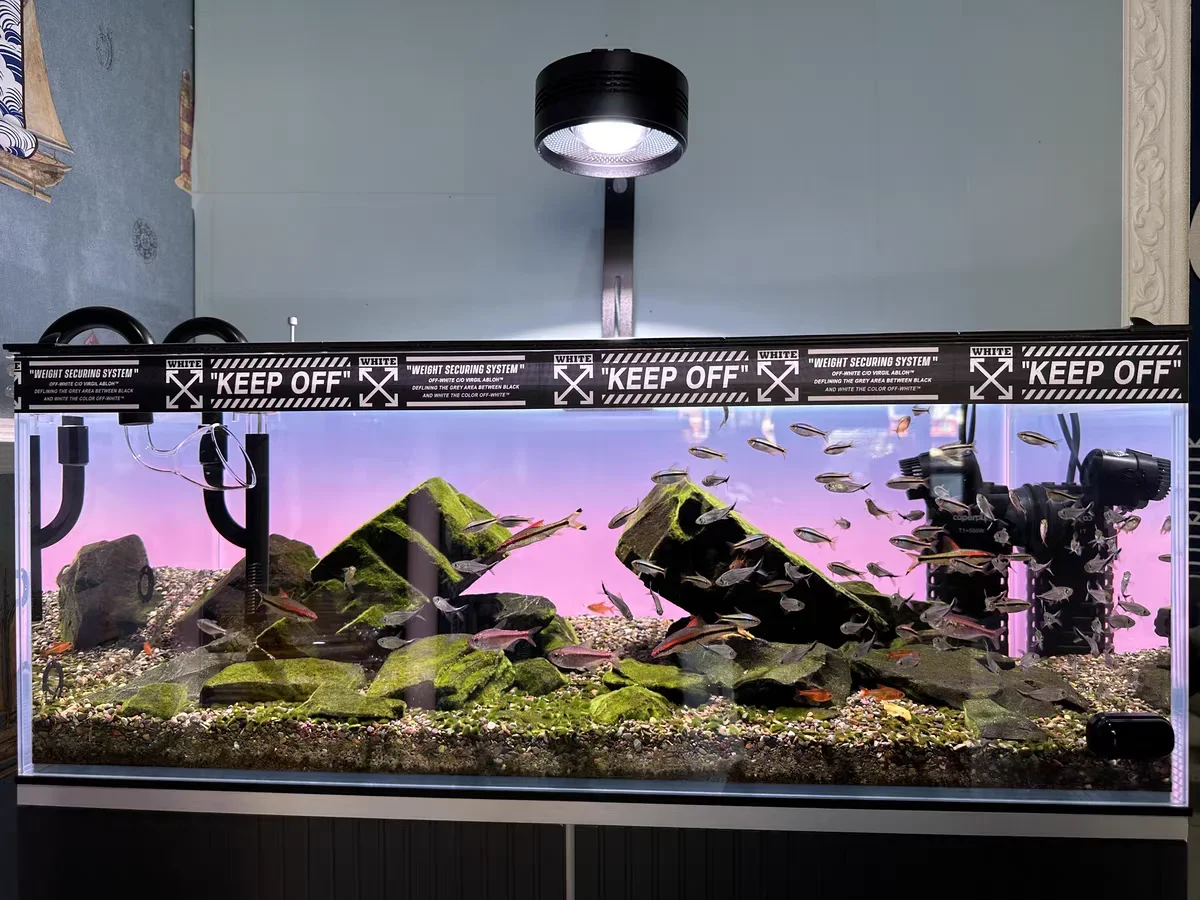 Tło do akwarium akrylowego RGB – Aquarium Fish Colour recenzja i cena