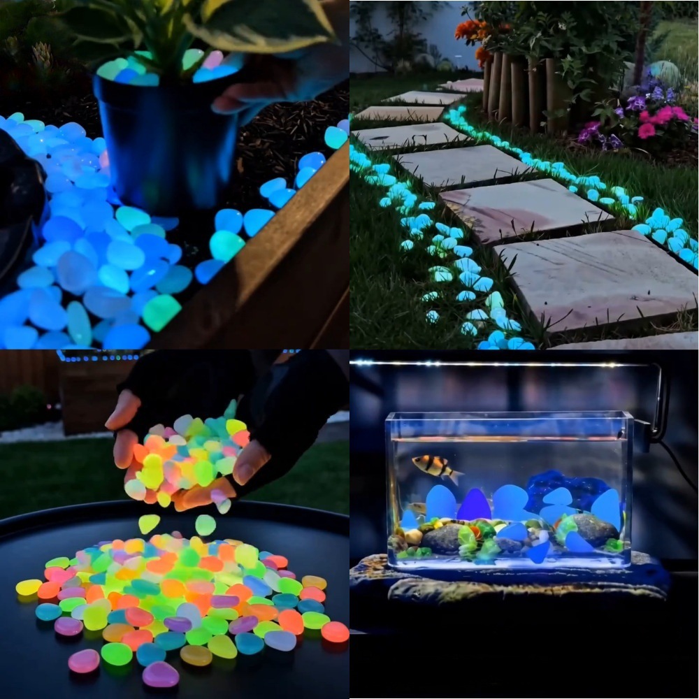 Kolorowe, świecące w ciemności – Aquarium Fish Cartoon recenzja i cena