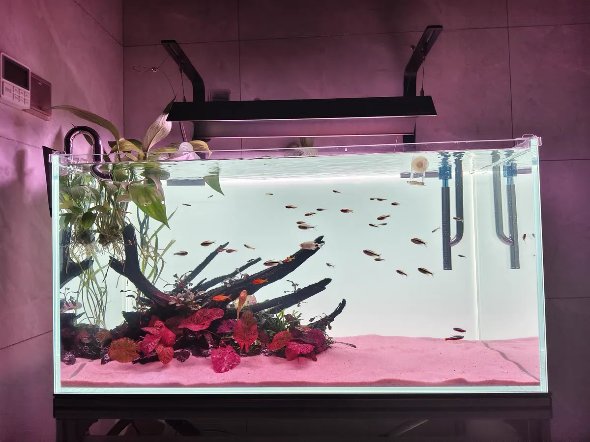 Tło akrylowe do akwarium RGB,  – Aquarium Fish Colour recenzja i cena