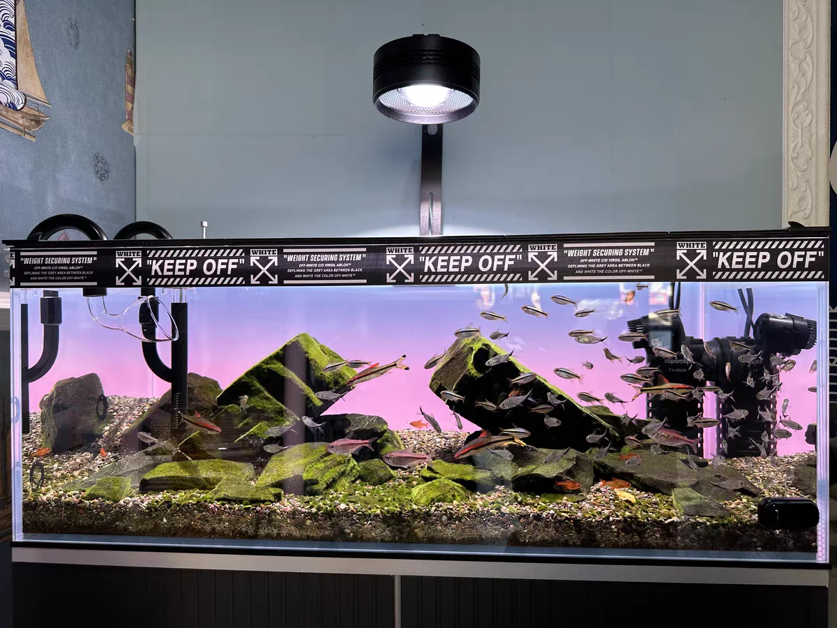 Tło akrylowe do akwarium RGB,  – Aquarium Fish Colour recenzja i cena