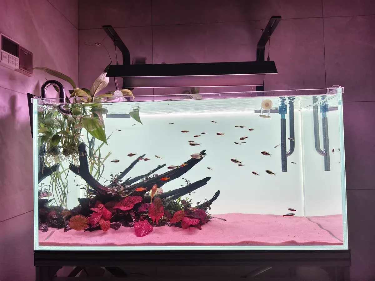 Tło akrylowe do akwarium RGB,  – Aquarium Fish Colour recenzja i cena
