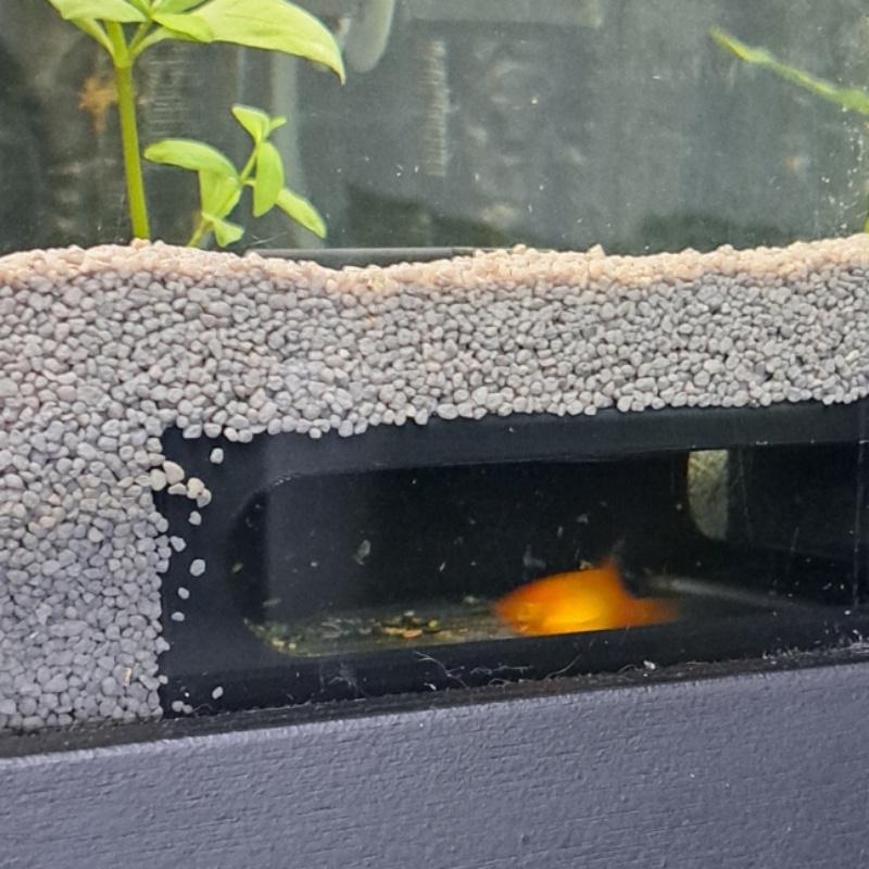 Półokrągła Dekoracja do Akwari – Aquarium Fish Paradise recenzja i cena