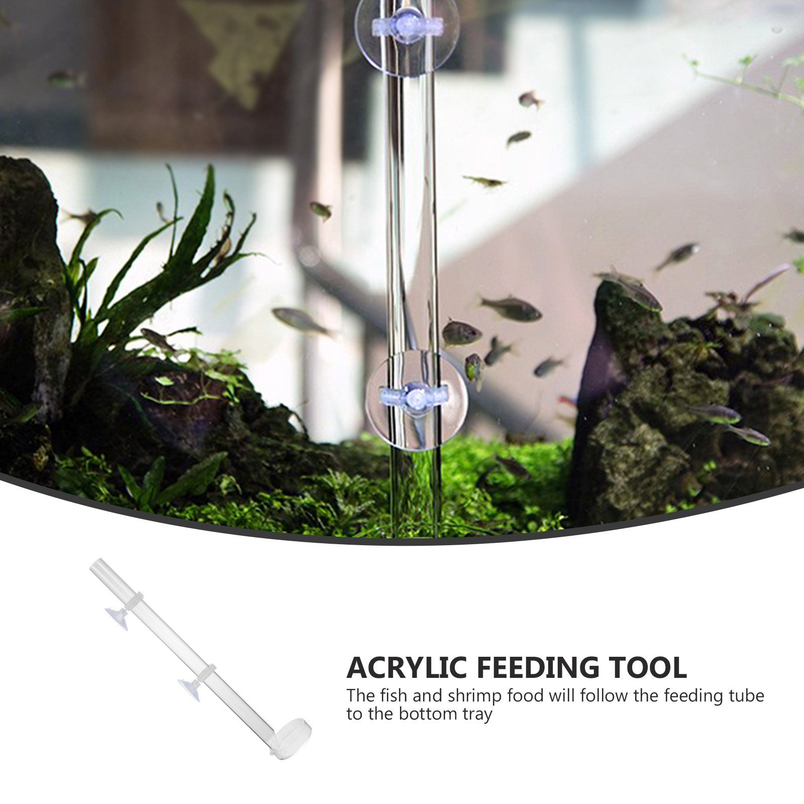 1 zestaw – przezroczysta akryl – Aquarium Fish Delivery recenzja i cena