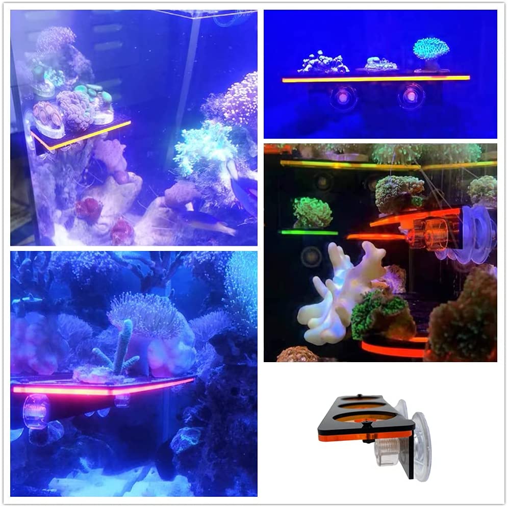 Fluorescencyjny koralowy wspor – Aquarium Fish Cartoon recenzja i cena