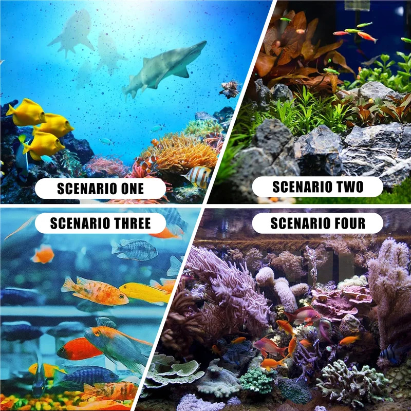 Symulacja koralów akwariowych  – Aquarium Fish Colour recenzja i cena