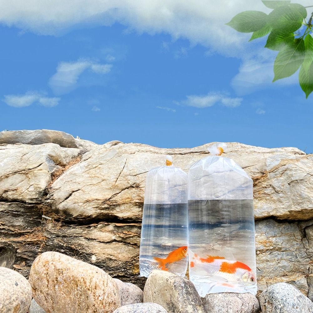 10 SZT. Plastikowe Przezroczys – Aquarium Fish Delivery recenzja i cena