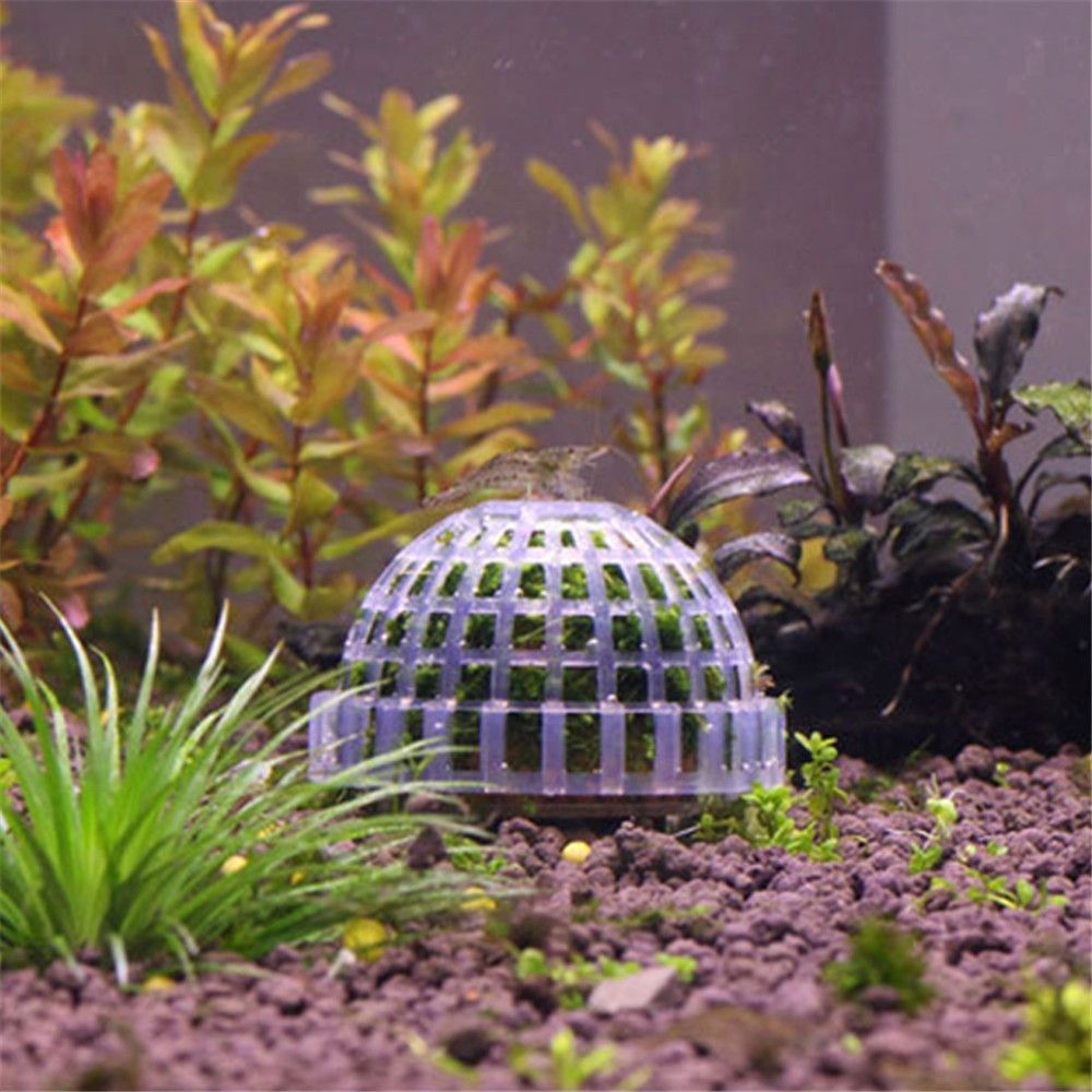 Nowa Plastikowa Kopuła z Meche – Aquarium Fish Cartoon recenzja i cena