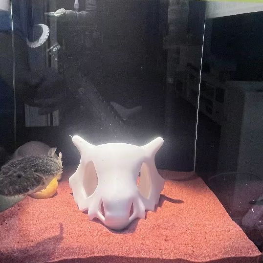 Drukowany w 3D schron dla ryb, – Aquarium Fish Cartoon recenzja i cena