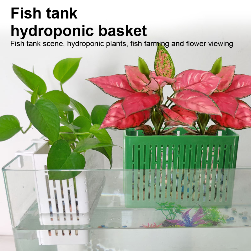 【F】Wiszący pojemnik do akwariu – Aquarium Fish Items recenzja i cena