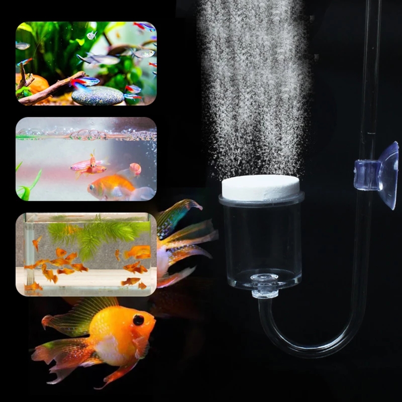4szt Zestaw DIY Dyfuzor CO2 do – Aquarium Fish Items recenzja i cena